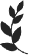 branch